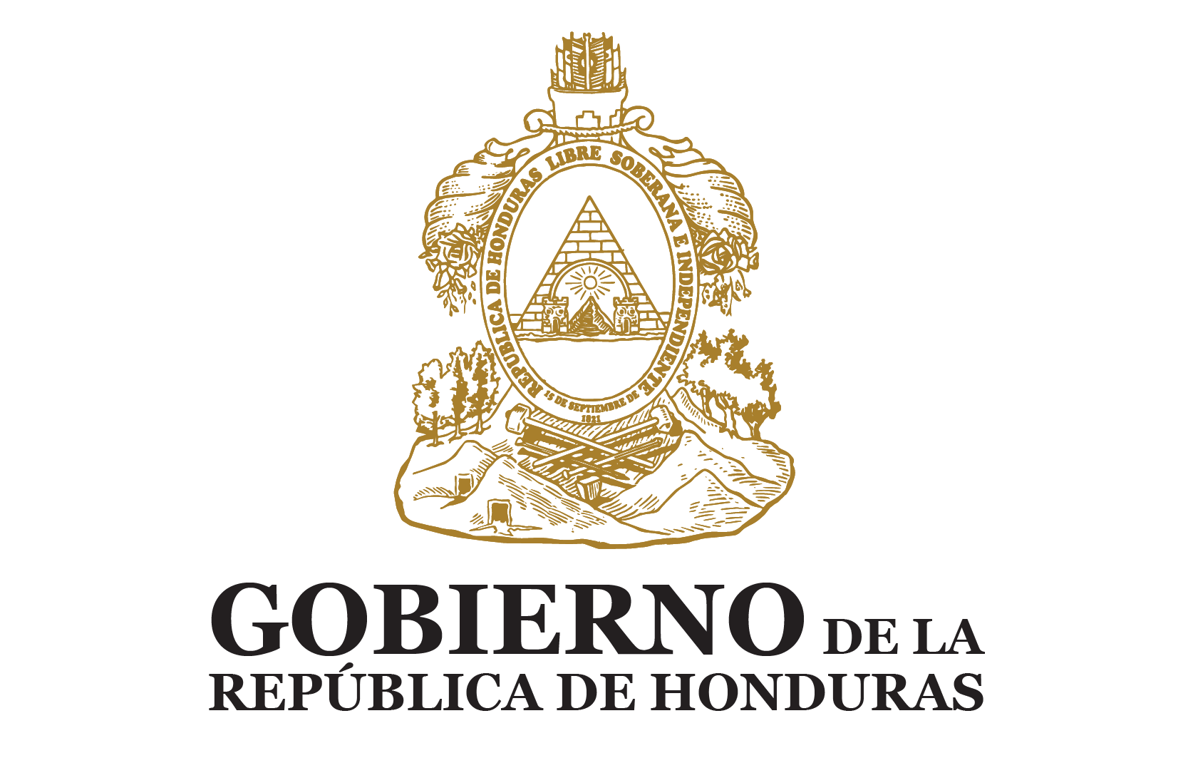 Logo Gobierno de Honduras - DNBE