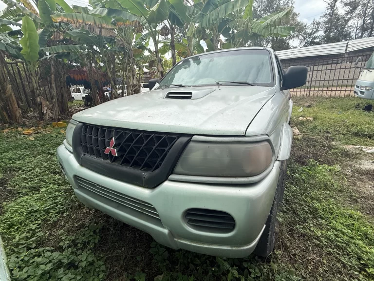 MITSUBISHI NATIVA